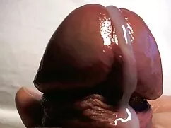La profesora de lame ...