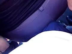 Lulu chu asiático in ...