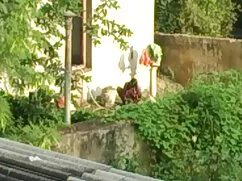Sobrina se olvidó de ...