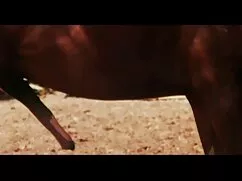 Consolador en negros ...