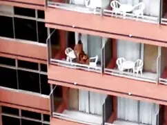 Una esposa honorable ...